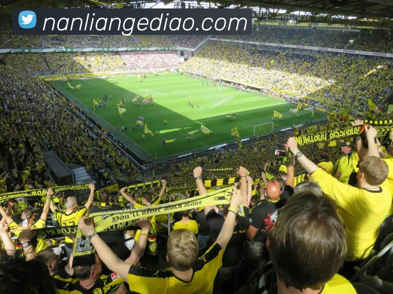 开云app品牌故事